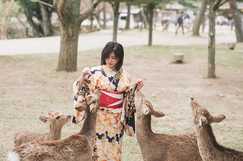 ［京都婚紗］拍攝景點奈良公園
